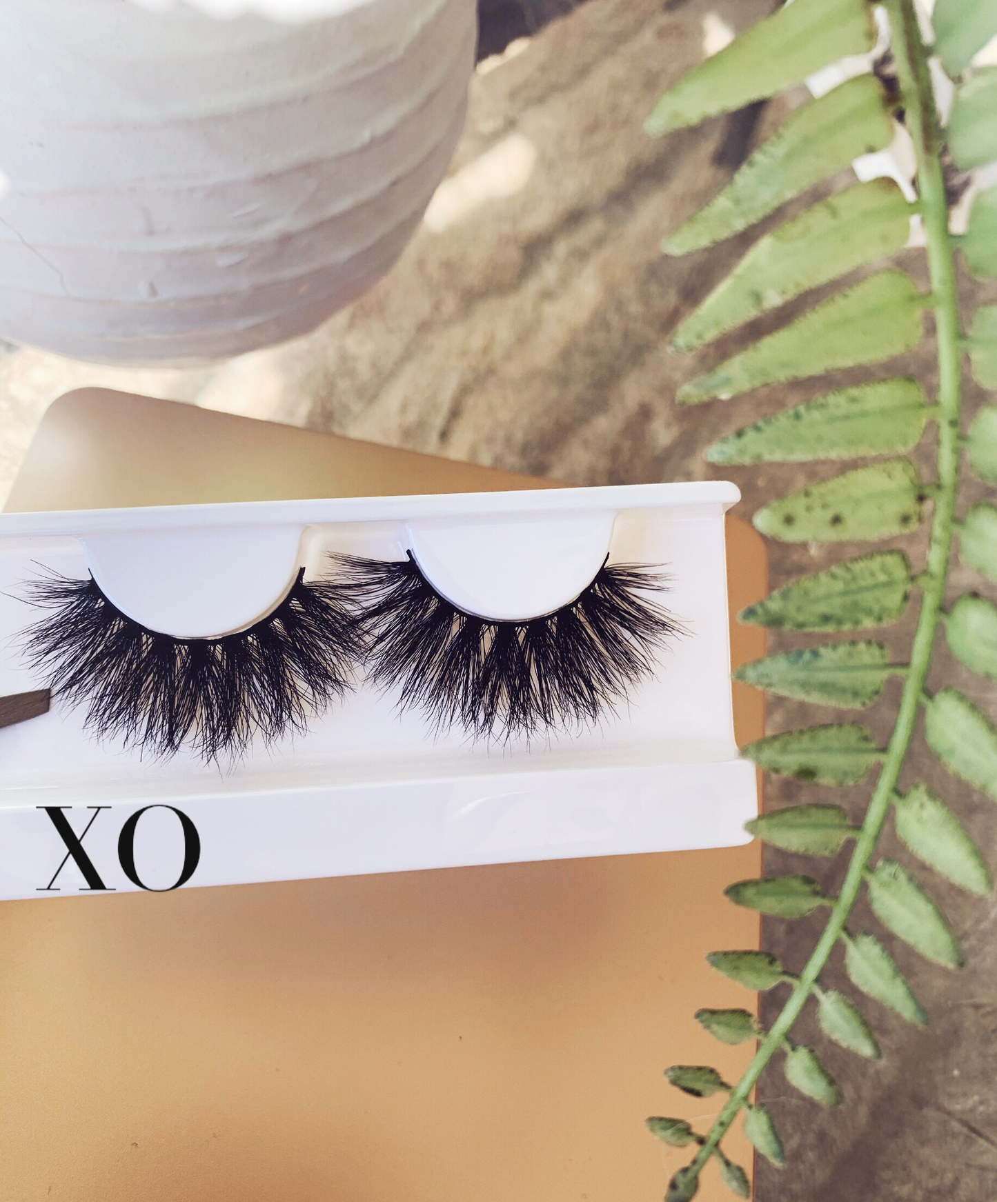 Xo