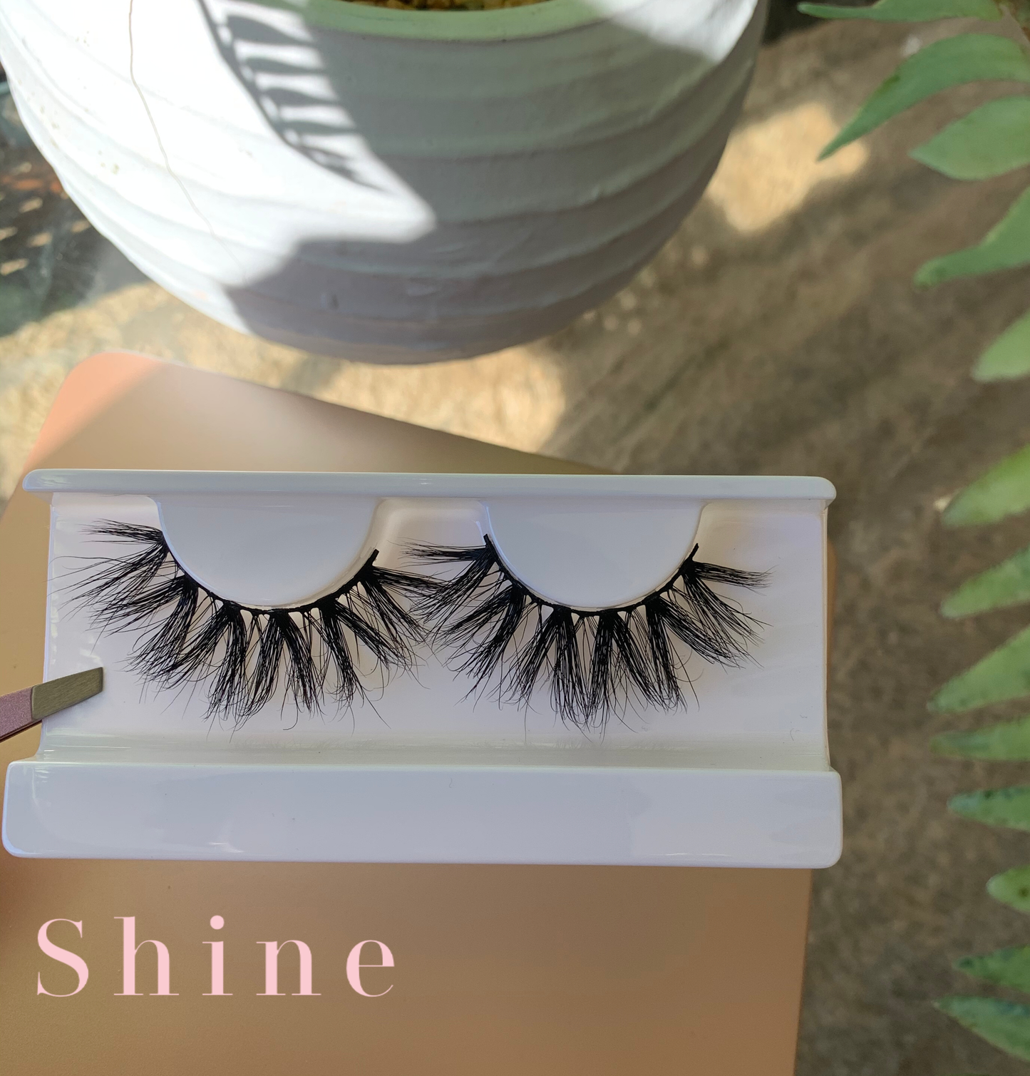 Shine